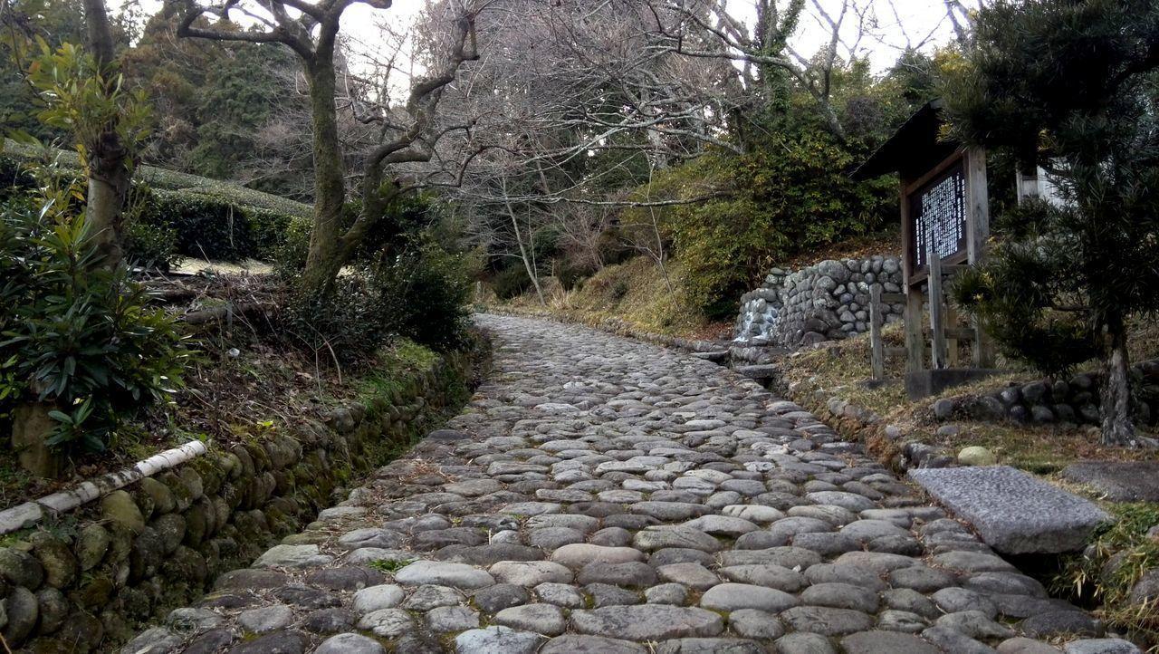 Jemsty Inn Hakone Ashinoko Exteriör bild