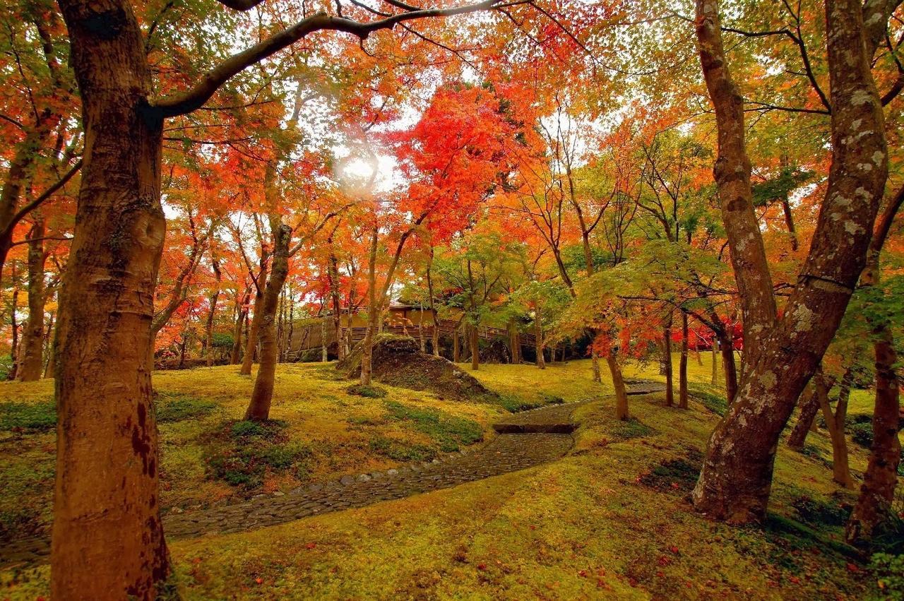 Jemsty Inn Hakone Ashinoko Exteriör bild